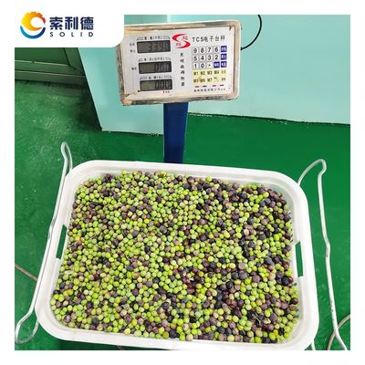 Машина для добычи оливкового масла с высокой доходностью масла 13,5% EVOO-500 с двухфазным отделением