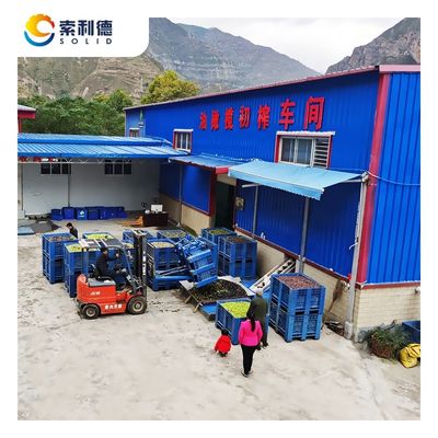 8T/H Extra Virgin Avocado Oil Extraction Machine с трехфазной декантерной центрифугой
