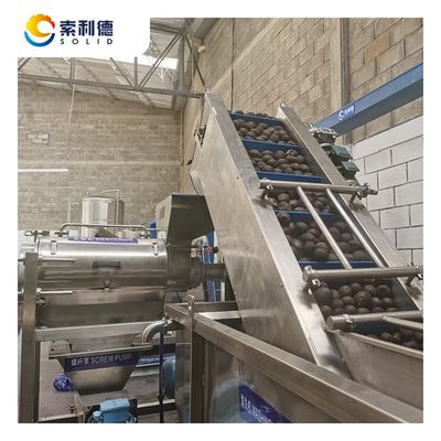 Напряжение 220V/415V/440V CPAO-500 500KG/H установка для экстракции масла авокадо холодного прессования