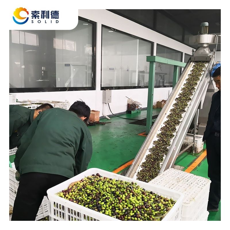 130кВт мощности EVOO-5000 5000кг/ч Завод по переработке оливкового масла для нефти