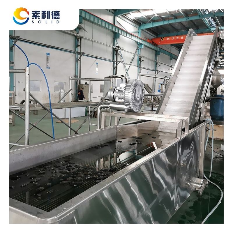 Покрытие пространства 24X6X6M 2T/H Cold Press Extra Virgin Avocado Oil Production Line CPAO-2000